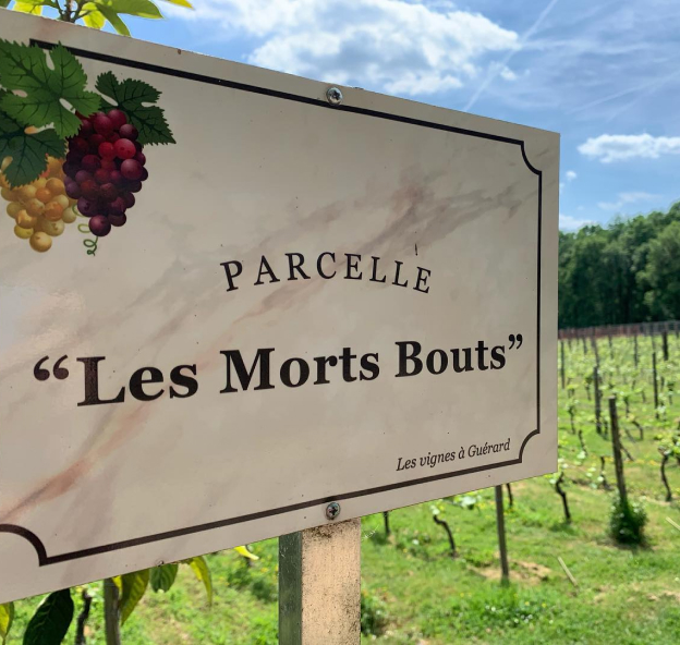 les parcelle les morts bouts à Guérard près de Coulommiers en Seine-et-Marne 77