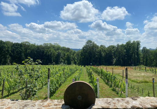 vigneron à Guérard près de Coulommiers en Seine-et-Marne 77