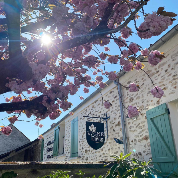 vigne envie domaine du bois brillant à Guérard près de Coulommiers en Seine-et-Marne 77