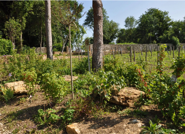 permaculture à Guérard près de Coulommiers en Seine-et-Marne 77