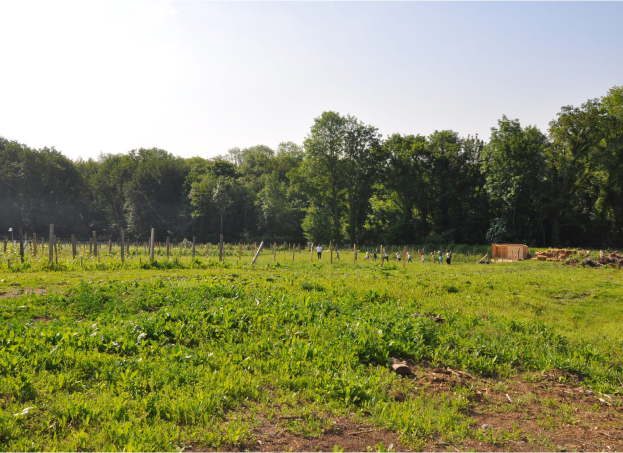 fascines à Guérard près de Coulommiers en Seine-et-Marne 77