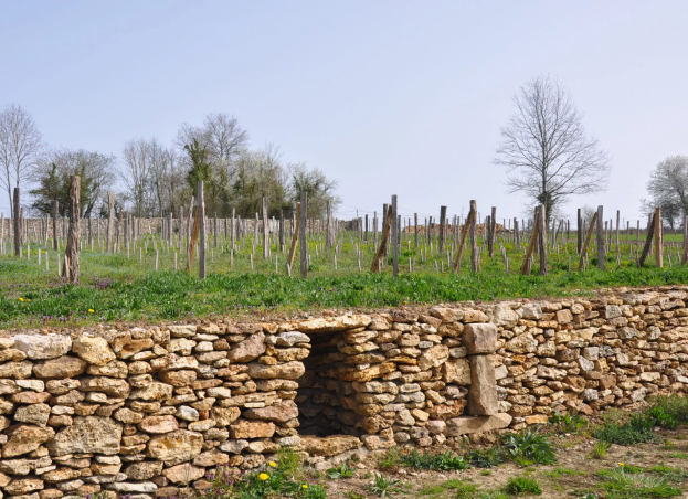 murs en pierres sèches à Guérard près de Coulommiers en Seine-et-Marne 77
