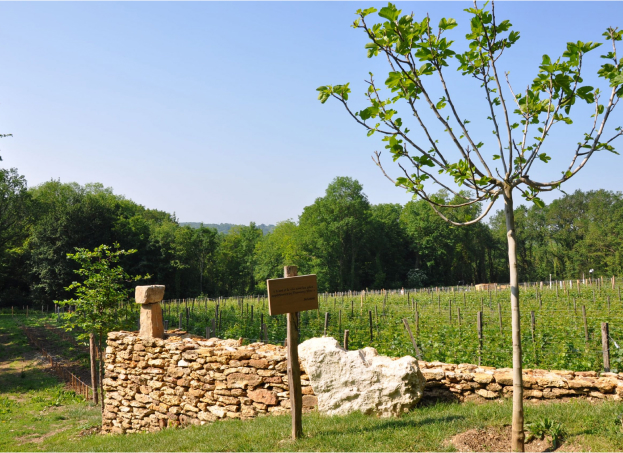 blocs de marnes supragypseuses à Guérard près de Coulommiers en Seine-et-Marne 77