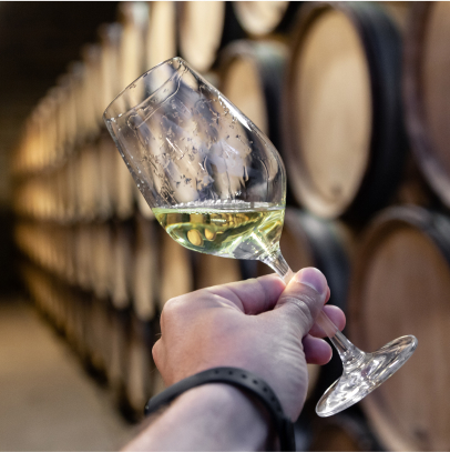 privatisation vignoble à Guérard près de Coulommiers en Seine-et-Marne 77