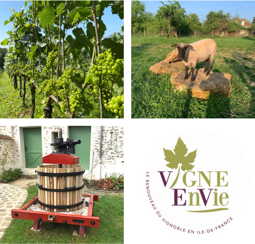 vente de vins à Guérard près de Coulommiers en Seine-et-Marne 77